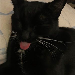 Meet your Posher, Josie